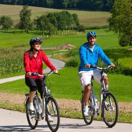 Hébergement de vacances D'amandine Muttersholtz